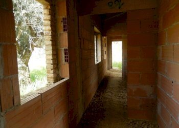 Foto 15 - Rustico Ripatransone - foto 15