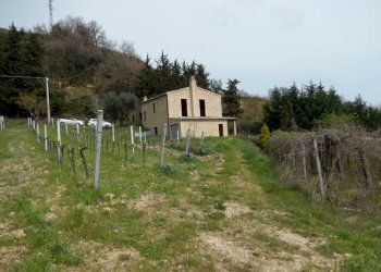 Foto 16 - Rustico Ripatransone - foto 16