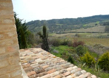 Foto 17 - Rustico Ripatransone - foto 17