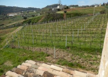 Foto 18 - Rustico Ripatransone - foto 18