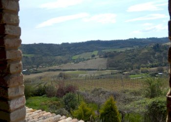 Foto 24 - Rustico Ripatransone - foto 22