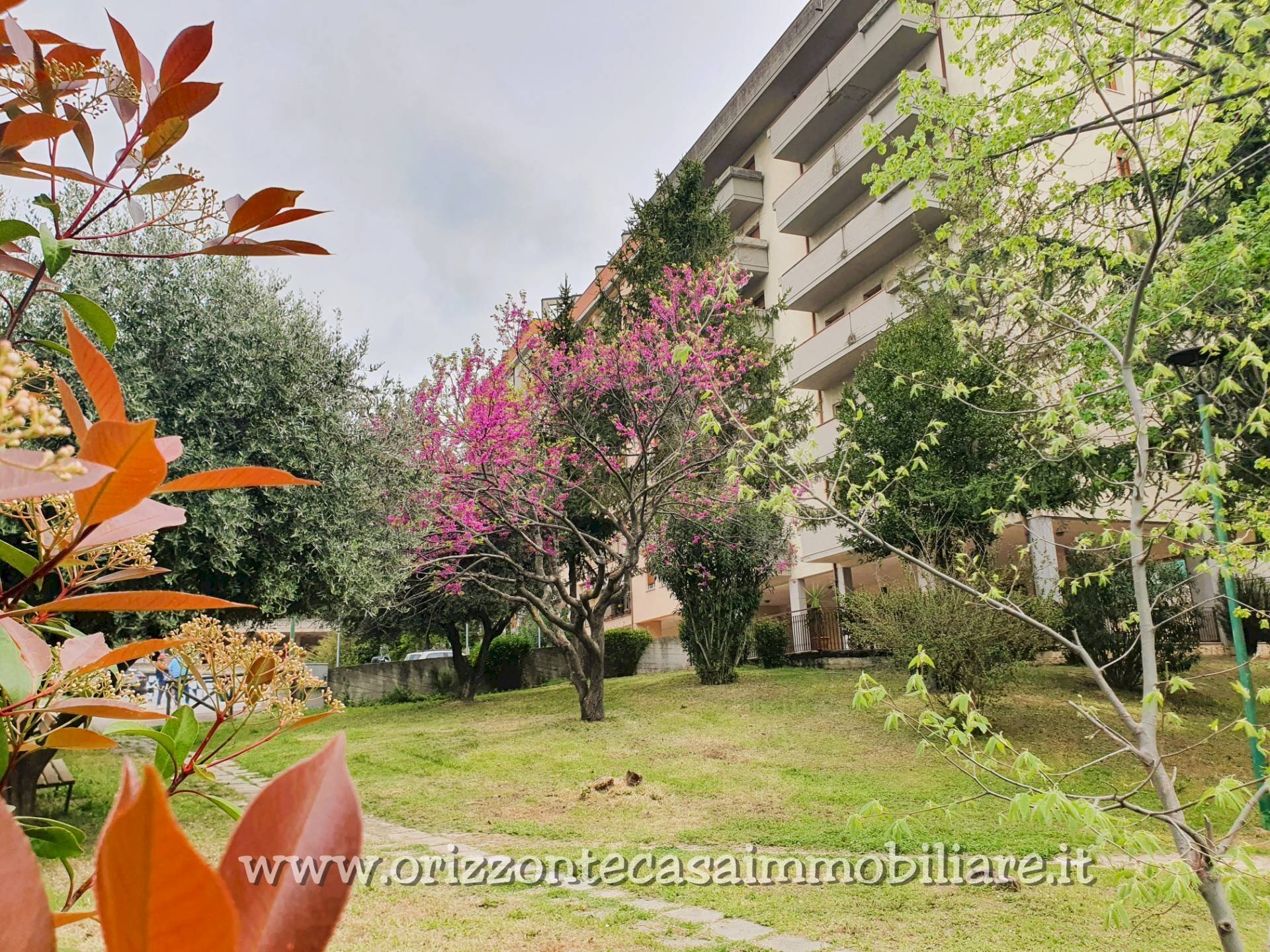 Foto 3 - Appartamento Ascoli Piceno - foto 3