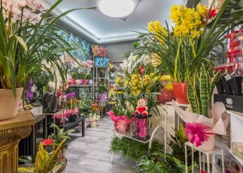 Foto 9 - Shop viale verdi
36, Riccione - photo 9