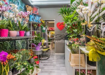 Foto 10 - Shop viale verdi
36, Riccione - photo 10