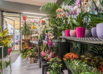 Foto 11 - Shop viale verdi
36, Riccione - photo 11