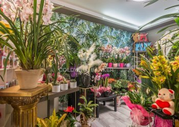 Foto 14 - Shop viale verdi
36, Riccione - photo 14