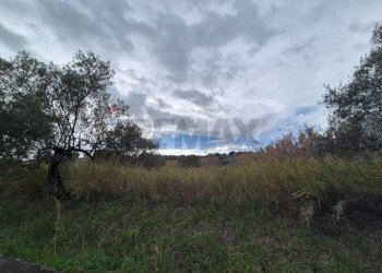 Vista delle montagne - Building land Via Selvotta
 
SNC, Vasto - photo 13