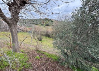 Giardino - Casa indipendente Via Rizzacorno
 
131, Lanciano - foto 7