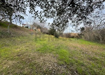 Giardino - Casa indipendente Via Rizzacorno
 
131, Lanciano - foto 43