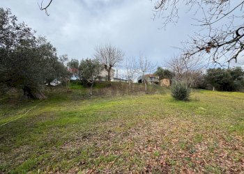 Giardino - Casa indipendente Via Rizzacorno
 
131, Lanciano - foto 44