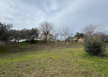 Giardino - Casa indipendente Via Rizzacorno
 
131, Lanciano - foto 46