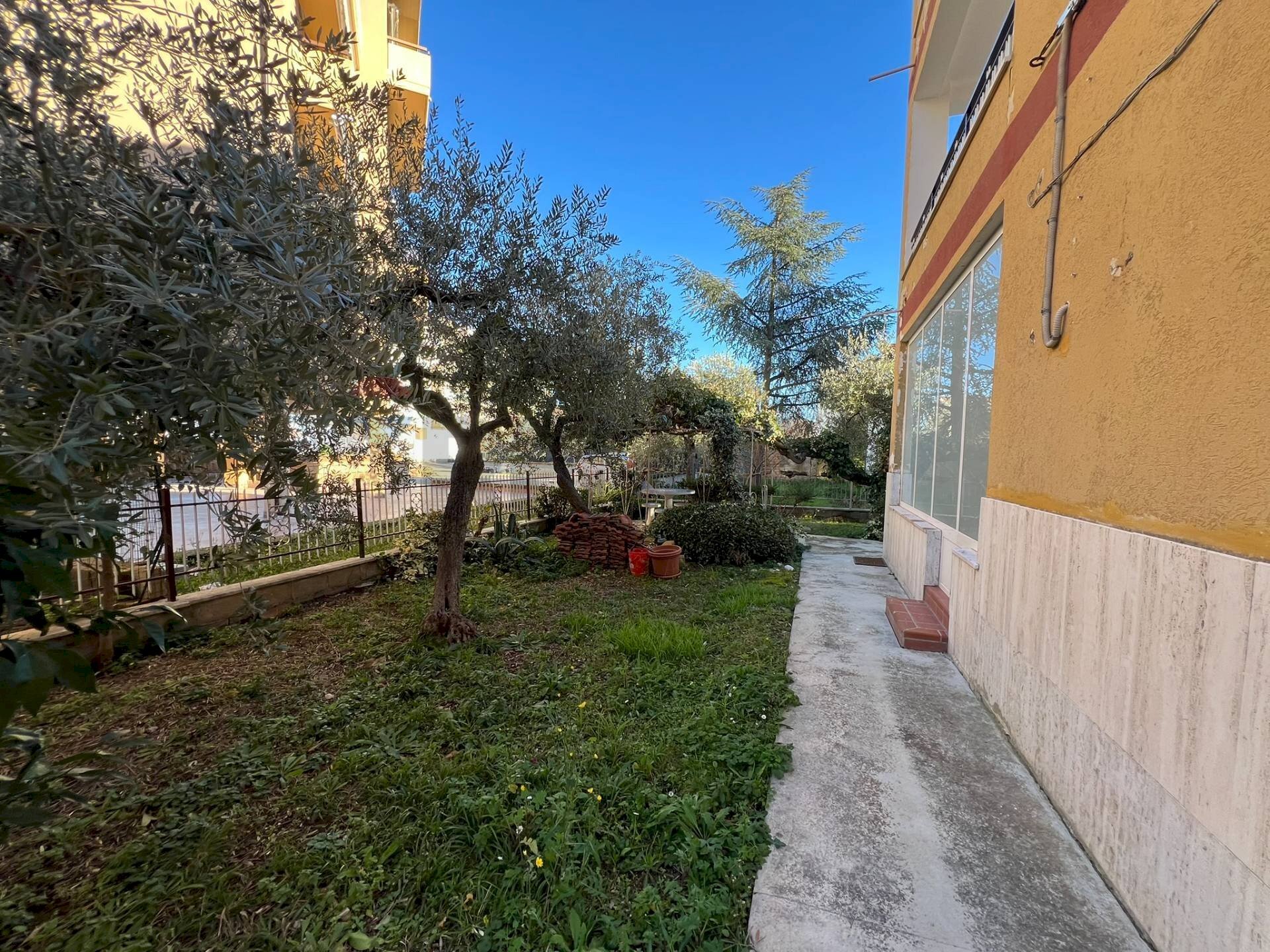 Giardino - Casa indipendente Via Olmo di Riccio
 
66, Lanciano - foto 3