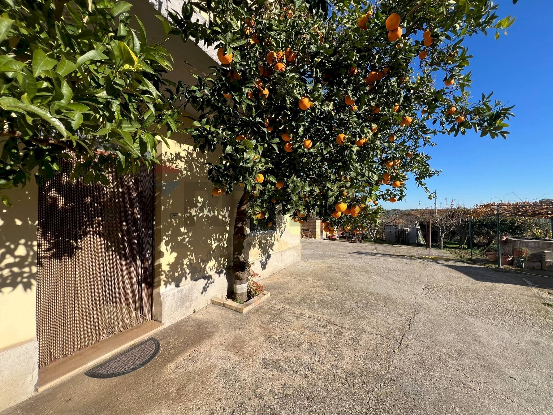 Giardino - Rustico Via San Silvestro
 
92, Fossacesia - foto 3