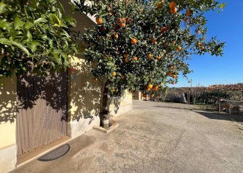 Giardino - Rustico Via San Silvestro
 
92, Fossacesia - foto 3