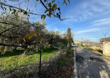 Giardino - Terreno edificabile Contrada Santa Liberata, Lanciano - foto 5