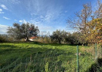 Giardino - Terreno edificabile Contrada Santa Liberata, Lanciano - foto 6