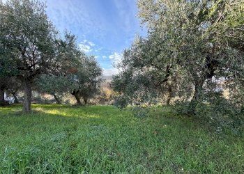 Giardino - Terreno edificabile Contrada Santa Liberata, Lanciano - foto 7