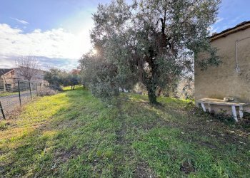 Giardino - Terreno edificabile Contrada Santa Liberata, Lanciano - foto 8