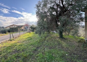 Giardino - Terreno edificabile Contrada Santa Liberata, Lanciano - foto 10