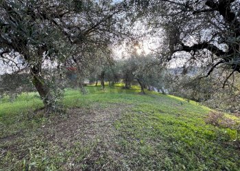 Giardino - Terreno edificabile Contrada Santa Liberata, Lanciano - foto 11