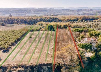 Vista delle montagne - Agricultural land Torino di Sangro - photo 6