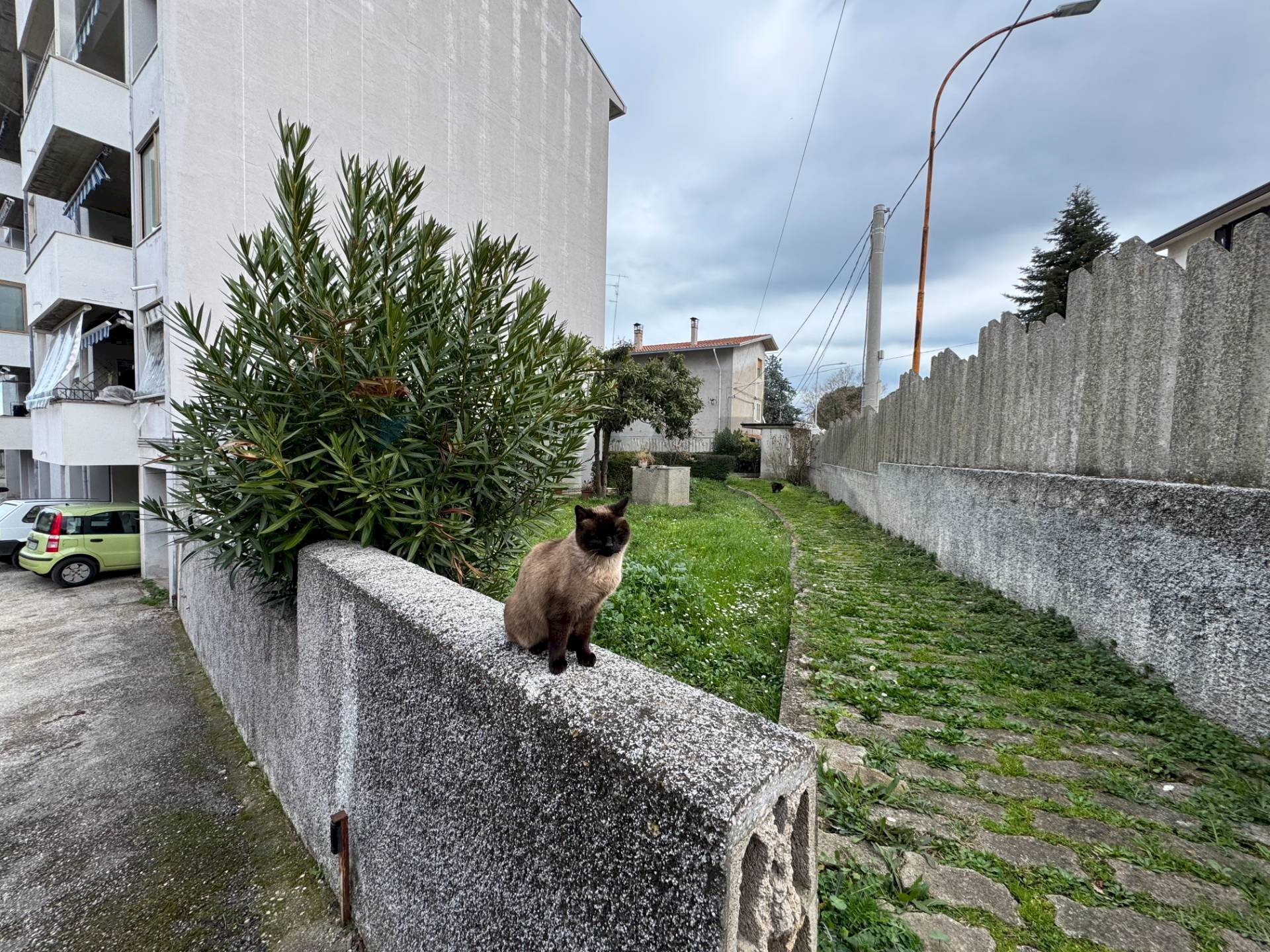 Giardino - Appartamento Via Giulio Sigismondi
 
23, Lanciano - foto 2