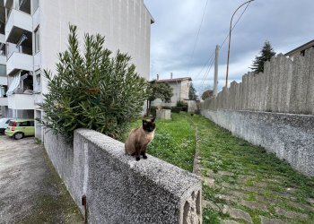 Giardino - Appartamento Via Giulio Sigismondi
 
23, Lanciano - foto 2