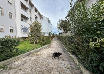 Edificio all\'aperto - Appartamento Via Giulio Sigismondi
 
23, Lanciano - foto 37