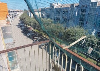 Balcone - Appartamento Via Corradino Marciani
 
11, Lanciano - foto 9