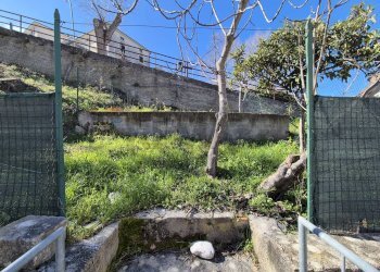 Giardino - Semi-detached house Via Garibaldi
 
19, Gessopalena - photo 53