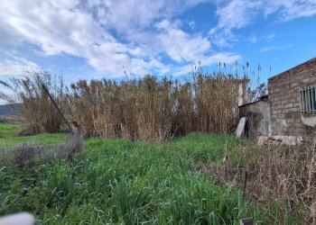 Giardino - Casa semi indipendente Via Nazionale
 
815, Altino - foto 39