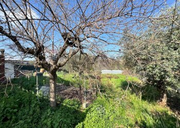 Giardino - Casa semi indipendente Contrada Madonna del Carmine
 
93, Lanciano - foto 30