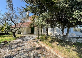 Giardino - Villa Via Pian del Lago
 
47, Casalbordino - foto 3