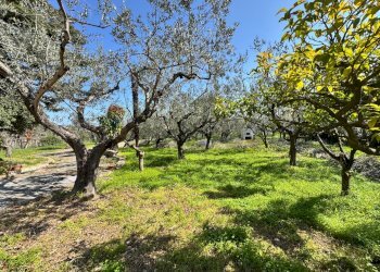 Giardino - Villa Via Pian del Lago
 
47, Casalbordino - foto 7