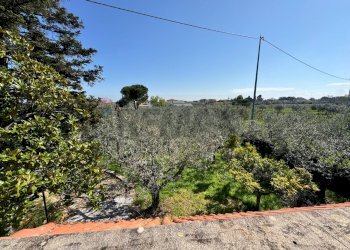 Vista delle montagne - Villa Via Pian del Lago
 
47, Casalbordino - foto 20