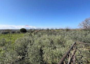 Vista delle montagne - Villa Via Pian del Lago
 
47, Casalbordino - foto 27