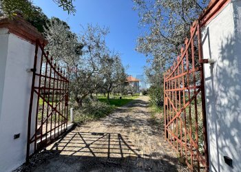 Giardino - Villa Via Pian del Lago
 
47, Casalbordino - foto 52