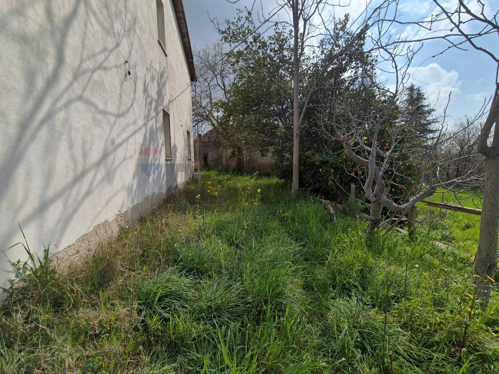 Giardino - Casa indipendente Via Nevi
 
257, Giuliano Teatino - foto 3