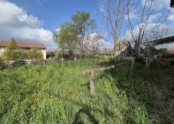 Giardino - Casa indipendente Via Nevi
 
257, Giuliano Teatino - foto 5