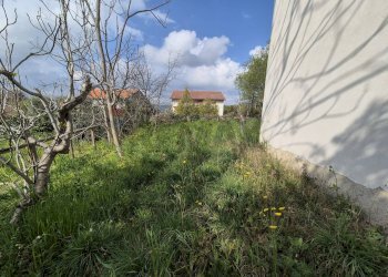 Giardino - Casa indipendente Via Nevi
 
257, Giuliano Teatino - foto 6