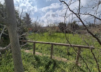 Giardino - Casa indipendente Via Nevi
 
257, Giuliano Teatino - foto 36