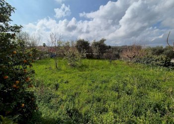 Giardino - Rustic Via Nevi
 
277, Giuliano Teatino - photo 4