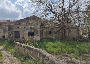 Vista delle montagne - Rustic Via Nevi
 
277, Giuliano Teatino - photo 7