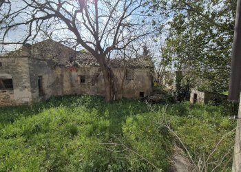 Giardino - Rustic Via Nevi
 
277, Giuliano Teatino - photo 11