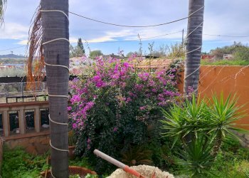 Edificio all\'aperto - Villa via quartararo
 
18, Misterbianco - foto 28