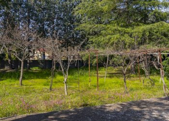 Giardino - Villa Via A. Fleming
 
8, Pedara - foto 14