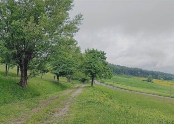 Terratetto - Terracielo Camugnano - foto 15