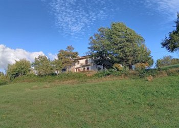 Terratetto - Terracielo Camugnano - foto 19