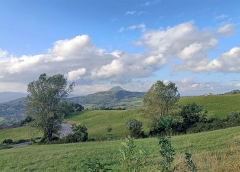 Terratetto - Terracielo Camugnano - foto 20