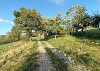 Terratetto - Terracielo Camugnano - foto 21